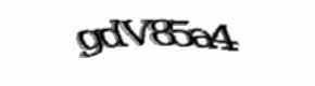 Security check image, please type the characters shown
