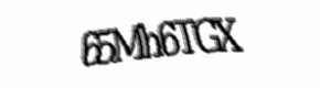 Security check image, please type the characters shown