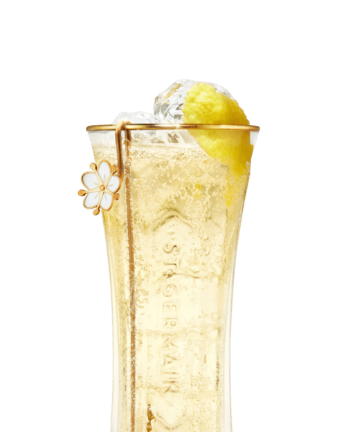 St-Germain and Champagne Recipe