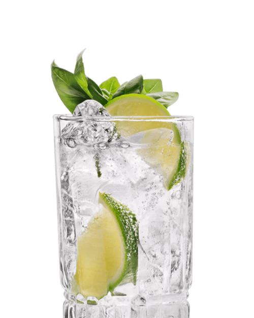 The St-Germain Gin & Tonic Cocktail Recipe, Gin Elderflower Cocktail