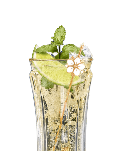 St Germain Cocktail Recipe  Easy and Refreshing –