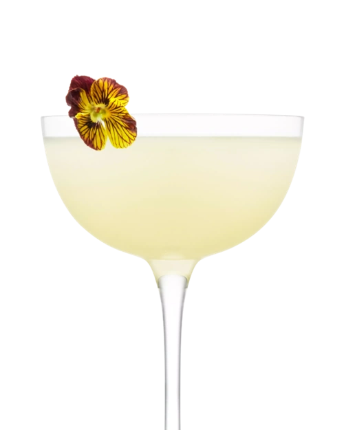 Flower Drop